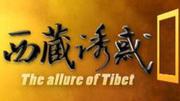 西藏诱惑
