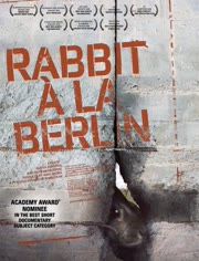 柏林墙的野兔