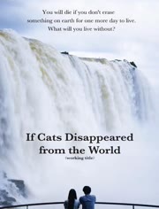 假如猫从世界上消失了