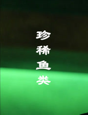 珍稀鱼类