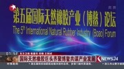 国际天然橡胶巨头齐聚博鳌共谋产业发展资讯完整版视频在线观看爱奇艺