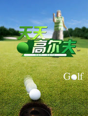 天天高尔夫 2012