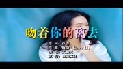 天籁天吻着你的离去MTV音乐背景音乐视频音乐爱奇艺