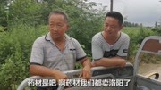 知了壳涨价了,多少钱一斤?收药材的大叔告诉你价格,是实话吗?原创完整版视频在线观看爱奇艺