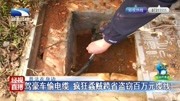 驾豪车偷电缆 疯狂蟊贼跨省盗窃百万元缆线资讯搜索最新资讯爱奇艺