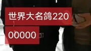 世界大名鸽22000000搞笑完整版视频在线观看爱奇艺