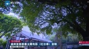 温州首部慈善主题电影《红日亭》首映资讯完整版视频在线观看爱奇艺