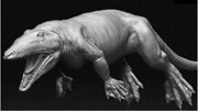 远古时期的巨兽，海陆两地无物能敌，专家猜测可能是鲸鱼祖先