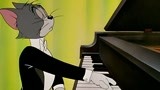 猫竟然也会弹钢琴 来自汤姆猫的音乐会