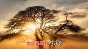 任静  你总是不开窍 MTV音乐背景音乐视频音乐爱奇艺