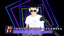 野狼的士高dj