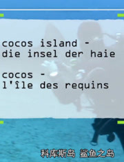 科库斯岛 鲨鱼岛