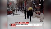 鸡西雪花飘清雪进行时资讯完整版视频在线观看爱奇艺