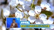 魏县第十九届梨花节于3月27日开幕资讯完整版视频在线观看爱奇艺