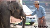 《我的宠物是大象》宣传曲《大象的舞步》MV