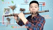 笛声缘:经典名曲《望春风》笛子版,听的让人陶醉!音乐背景音乐视频音乐爱奇艺