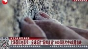 全球新片＂新鲜直送＂500部影片中6成是首映资讯高清正版视频在线观看–爱奇艺