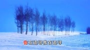 陈思思演唱的经典歌曲《中国梦》超好听 百听不厌!音乐背景音乐视频音乐爱奇艺