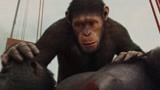 猩球崛起：全剧最精彩片段，猩猩大战人类，这段看多少遍都不多