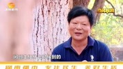 “芙蓉教学名师”杨海文,以德为先立德树人!任教31年活力不减资讯高清正版视频在线观看–爱奇艺