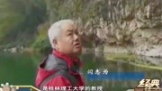 这片水域被称为死水湾,水里面没任何鱼虾,专家猜测底下有落水洞资讯搜索最新资讯爱奇艺