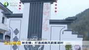 林克锋:打造闽南风韵紫湖村资讯搜索最新资讯爱奇艺