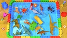 少儿卡通动画 介绍昆虫，恐龙，陆地动物，海洋动物和车辆 