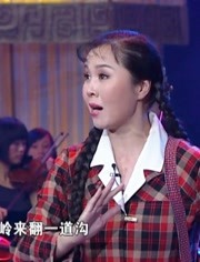 梨园春:杨红霞演唱豫剧《朝阳沟》选段"走一道岭来翻一道沟"