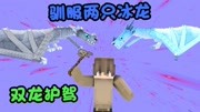 《【九歌】我的世界RLcraft超困难生存》第20200208期我的世界RLcraft29.成功驯服两只冰龙,以后简称:双龙护驾!游戏完整版视频在线观看爱奇艺