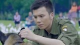 战狼犬：武鹏发现流浪犬不一样，受过专业训练，给它取名叫微笑！