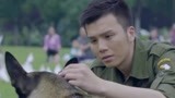 战狼犬：李旭帆正式收养流浪犬，决心治好它的皮肤病，相依为命！