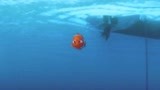 海底总动员：小丑鱼游向海面，却被人类捉走，这下大祸临头了！