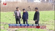 金寨县斑竹园镇:特色产业“照亮”脱贫路资讯搜索最新资讯爱奇艺