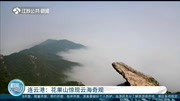 连云港:花果山惊现云海奇观资讯搜索最新资讯爱奇艺