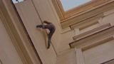谍影重重：伯恩为了逃难，直接用上飞檐走壁，这技术太强了！