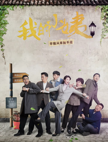 2018国产剧《我的小姨》迅雷下载_中文完整版_百度云网盘720P|1080P资源