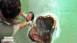 西游降魔：鱼妖一个血盆大口，吃掉小女孩，太凄惨了！