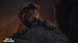 狮子王：辛巴王者归来为父报仇，刀疤掉下悬崖被鬣狗活吃了