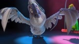 里约大冒险：这只大白鸟太强了，还会玩DJ，舞蹈大咖