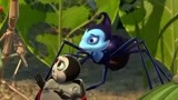 虫虫危机：飞力带回了凶暴的昆虫帮手，再也不怕草蜢了