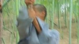 独立连：鬼子把小和尚当活靶子打死，老和尚发怒绝世武功揍惨鬼子