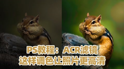 照片没色彩?ps教程:acr滤镜这样调色让照片更高清!