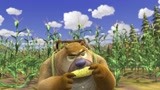 熊出没：果然不靠谱，熊大和熊二收玉米，谁料吃得比收得还要快