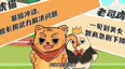 虎猫和老司鸡