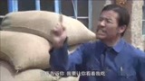 我的土地我的家49：女孩与小伙私定终身谁料父亲嫌小伙穷气的臭骂