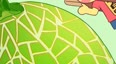 哈密瓜、网纹瓜瓜皮上的网文是怎么形成的