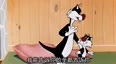 真正的猫咪