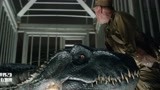 侏罗纪世界2，猎人钻进笼子里给恐龙拔牙，刚拔一半恐龙醒了，好