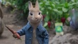 比得兔：兔子偷菜被人类发现，伙伴配合默契，帮他离开