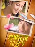 梦里花落知多少